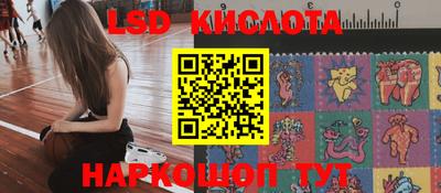 амф Новодвинск