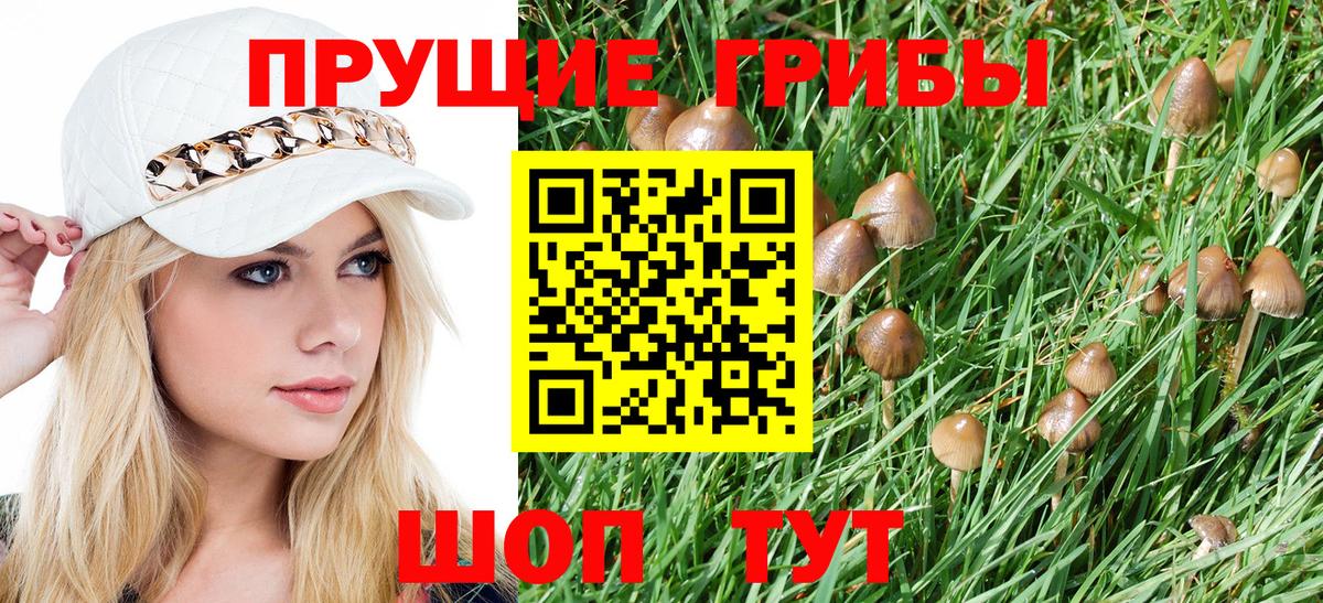 Верхняя Пышма  Галлюциногенные грибы MAGIC MUSHROOMS  купить  цена  Вход с VPN  Галлюциногенные грибы GOLDEN TEACHER 
